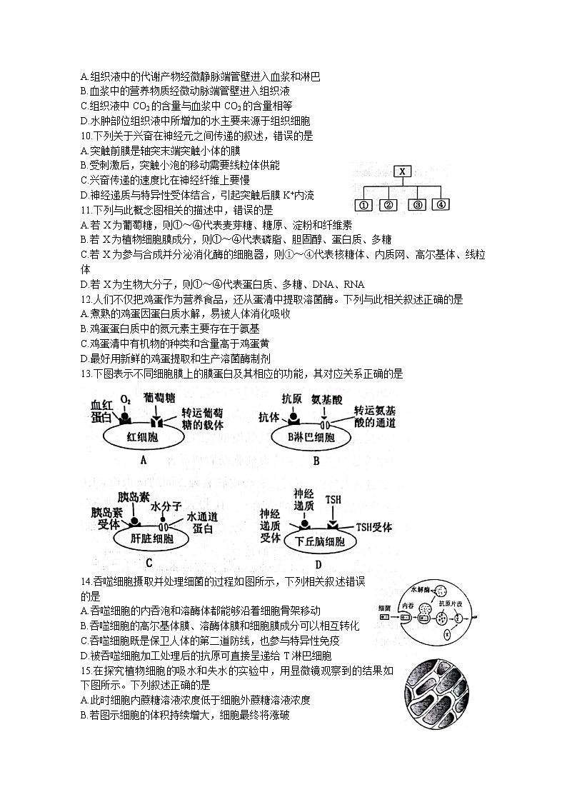 河南省洛平许济联考2023届高三生物上学期第一次质量检测试题（Word版附答案）第2页