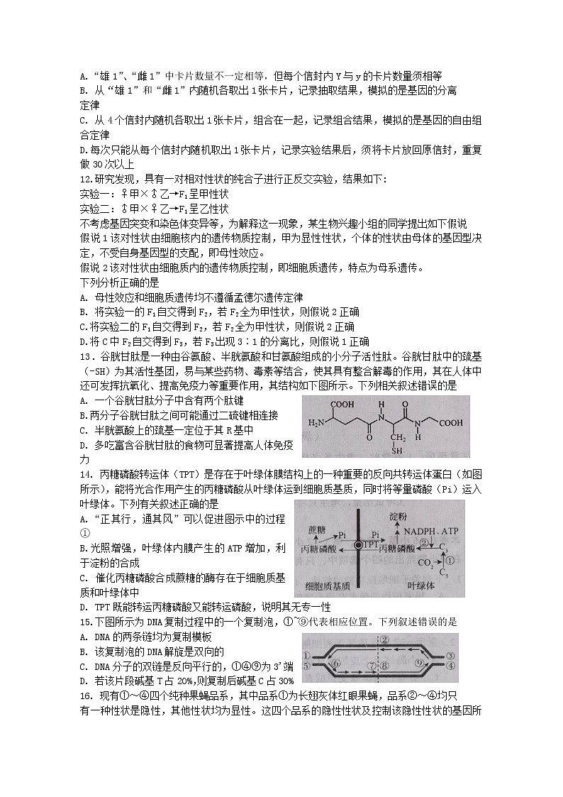 福建省宁德市2022-2023学年高三生物上学期期中区域性学业质量检测试题（Word版附答案）第3页
