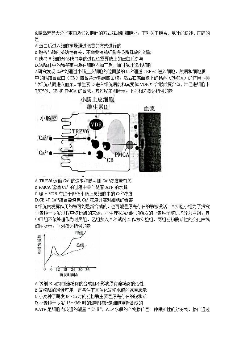 山西省三晋名校联盟2022—2023学年高三生物上学期毕业班阶段性测试（二）（Word版附答案）02