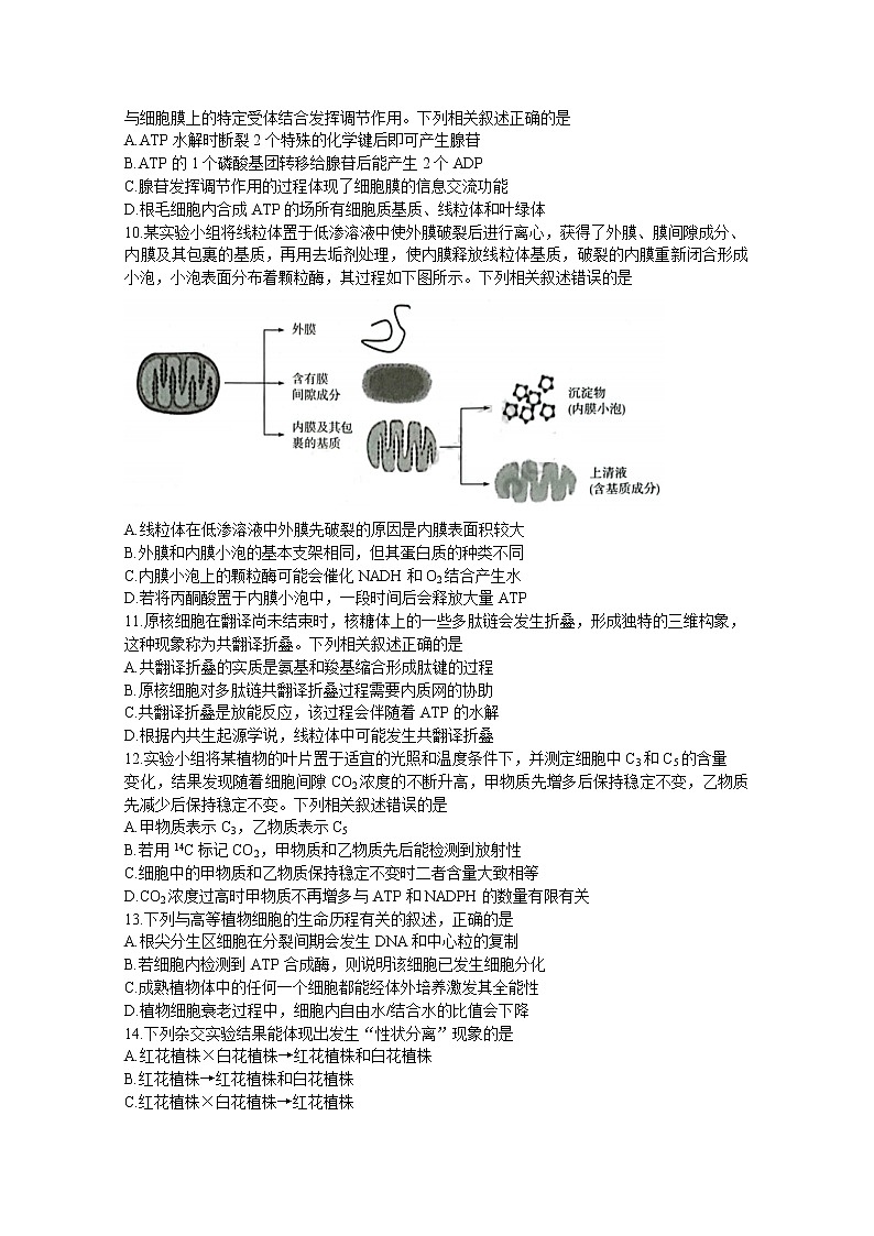 山西省三晋名校联盟2022—2023学年高三生物上学期毕业班阶段性测试（二）（Word版附答案）03