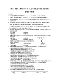 浙江省丽水、湖州、衢州2022-2023学年高三生物上学期（11月）一模试题（Word版附答案）