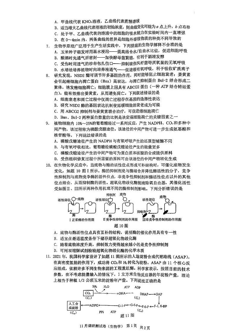 重庆市2022-2023学年高三生物上学期11月期中调研试题（PDF版附答案）02