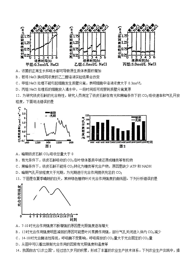 2023安徽省江淮十校高三上学期第二次联考生物试题含答案第3页