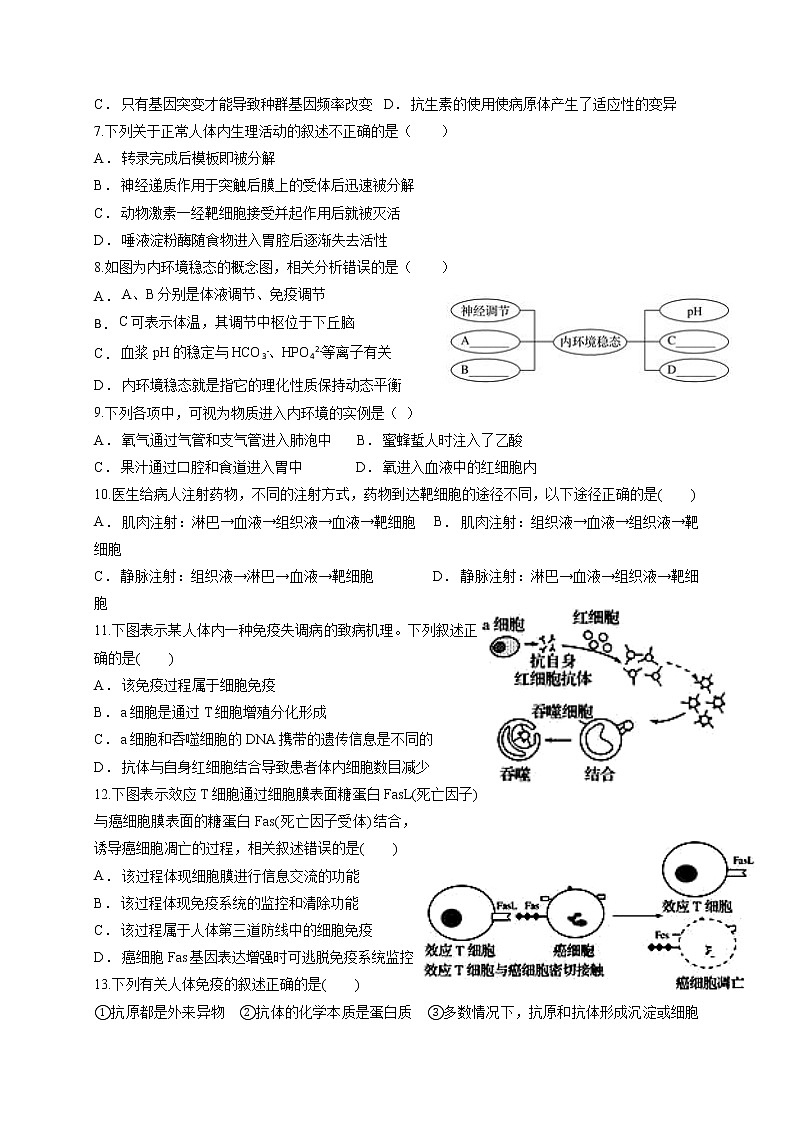 2022内江威远中学校高二上学期期中考试生物试题含答案02