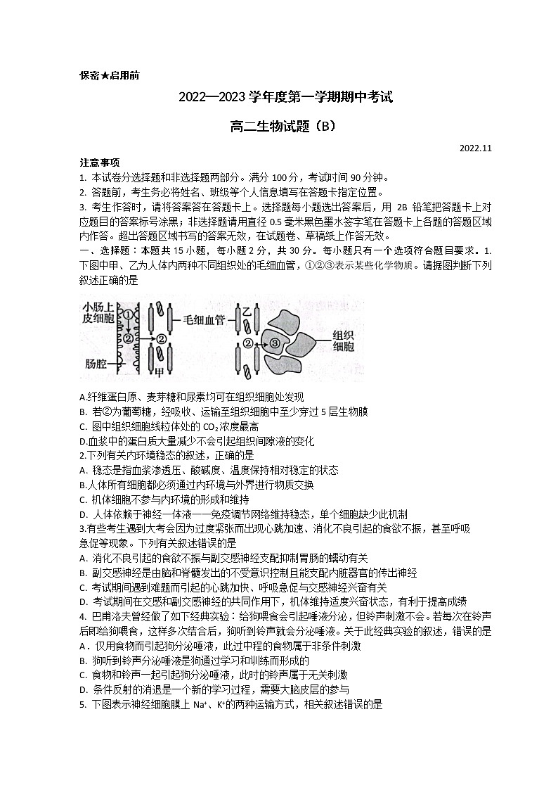 2023菏泽高二上学期期中联考生物试题（B）含答案01