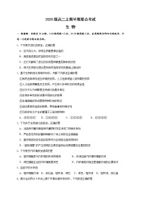 2022宜宾一中高二上学期期中联考试题生物含答案