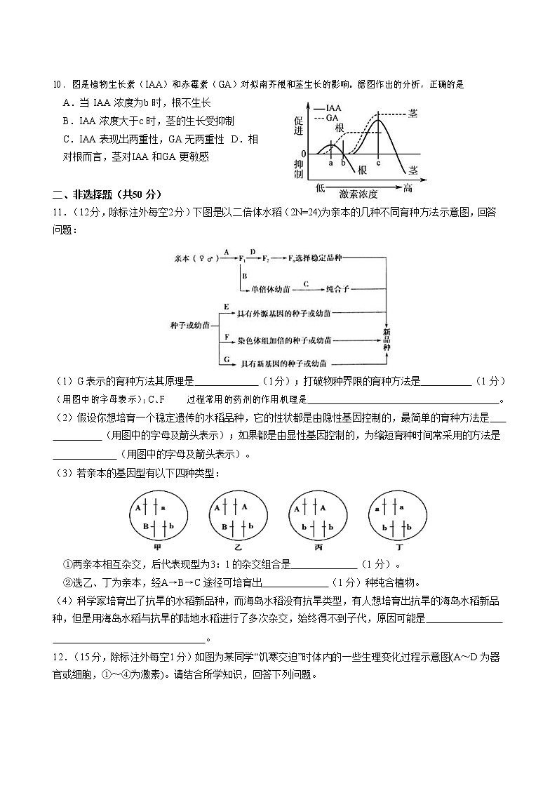 2022雅安中学高二上学期期中考试生物含答案03