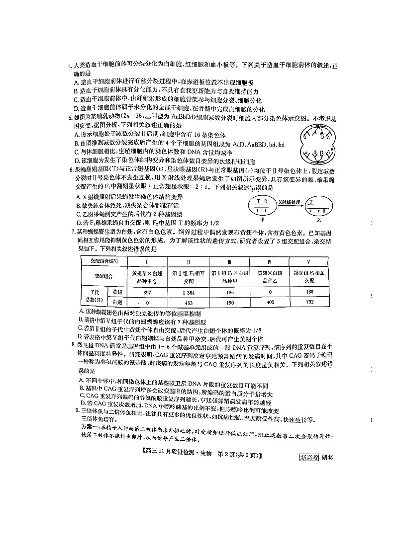 湖北省九师联盟2022-2023学年高三上学期11月联考 生物试题02