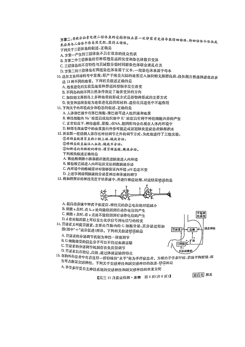 湖北省九师联盟2022-2023学年高三上学期11月联考 生物试题03