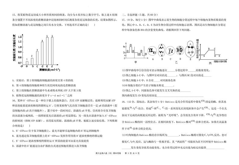 福建省福州市八县（市、区）一中2022-2023学年高三上学期期中联考生物试题03
