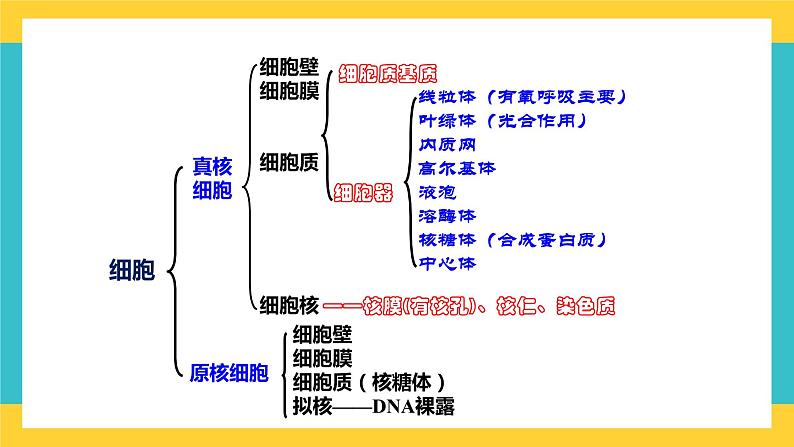 【高考一轮专题复习】高考生物专题复习——第5讲《细胞膜的结构和功能》复习课件（全国通用）02