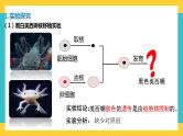 【高考一轮专题复习】高考生物专题复习——第8讲《细胞核的结构和功能》复习课件（全国通用）