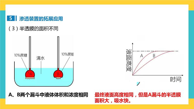 【高考一轮专题复习】高考生物专题复习——第9讲《水进出细胞的原理》复习课件（全国通用）第8页