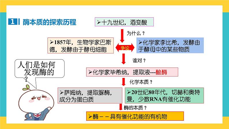 【高考一轮专题复习】高考生物专题复习——第11讲《降低化学反应活化能的酶》复习课件（全国通用）03