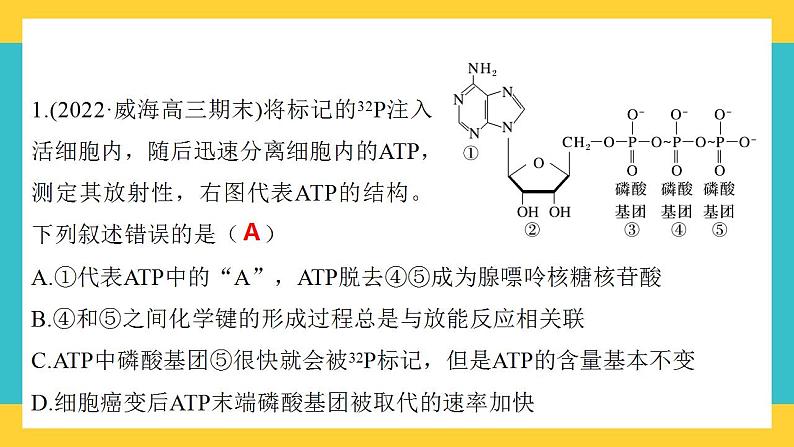【高考一轮专题复习】高考生物专题复习——第12讲《细胞的能量“货币”ATP》复习课件（全国通用）第5页