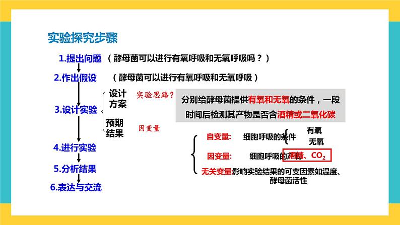 【高考一轮专题复习】高考生物专题复习——第13讲《细胞呼吸的原理和应用》复习课件（全国通用）第4页