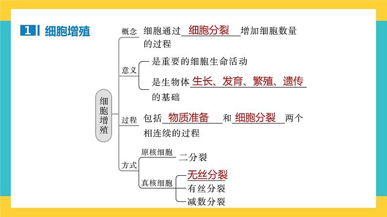 【高考一轮专题复习】高考生物专题复习——第16讲《细胞的增殖1》复习课件（全国通用）04