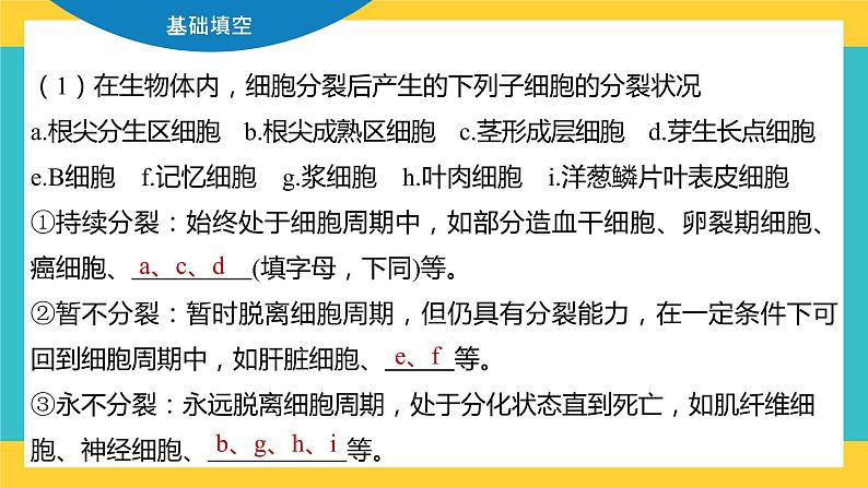 【高考一轮专题复习】高考生物专题复习——第16讲《细胞的增殖1》复习课件（全国通用）07