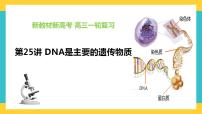 【高考一轮专题复习】高考生物专题复习——第25讲《DNA是主要的遗传物质》复习课件（全国通用）