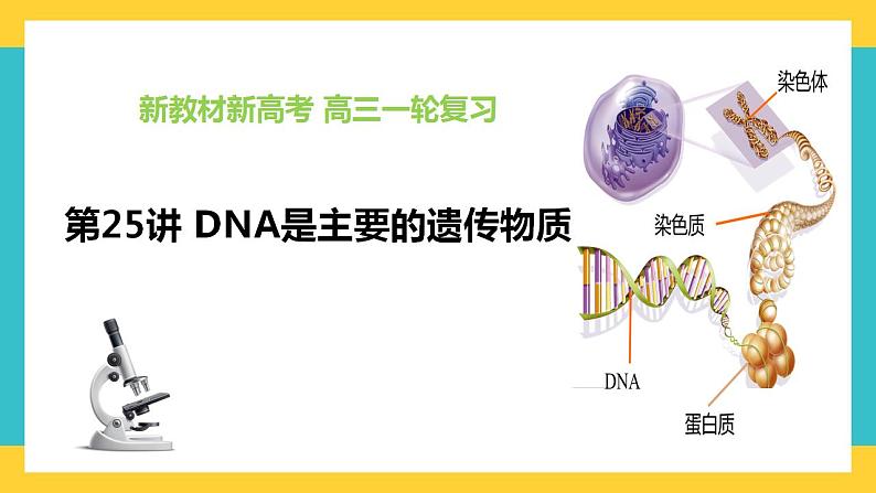 【高考一轮专题复习】高考生物专题复习——第25讲《DNA是主要的遗传物质》复习课件（全国通用）第1页