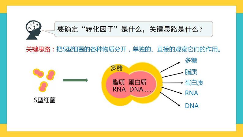 【高考一轮专题复习】高考生物专题复习——第25讲《DNA是主要的遗传物质》复习课件（全国通用）第8页