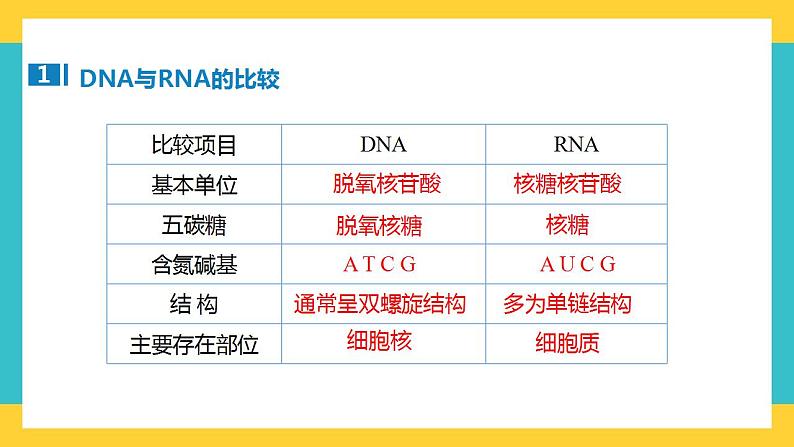 【高考一轮专题复习】高考生物专题复习——第28讲《基因的表达》复习课件（全国通用）07