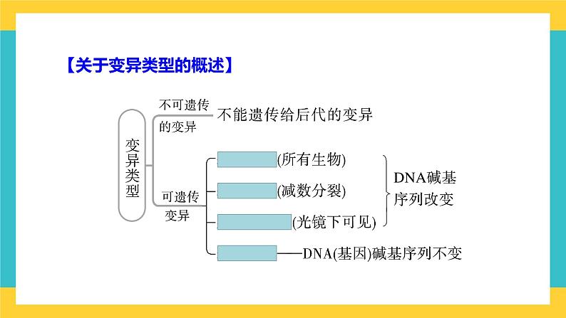 【高考一轮专题复习】高考生物专题复习——第30讲《基因突变和基因重组》复习课件（全国通用）03