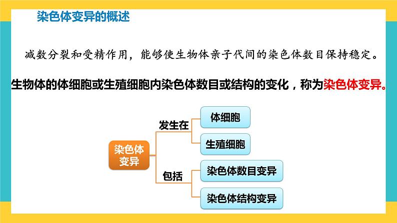 【高考一轮专题复习】高考生物专题复习——第31讲《染色体变异》复习课件（全国通用）04