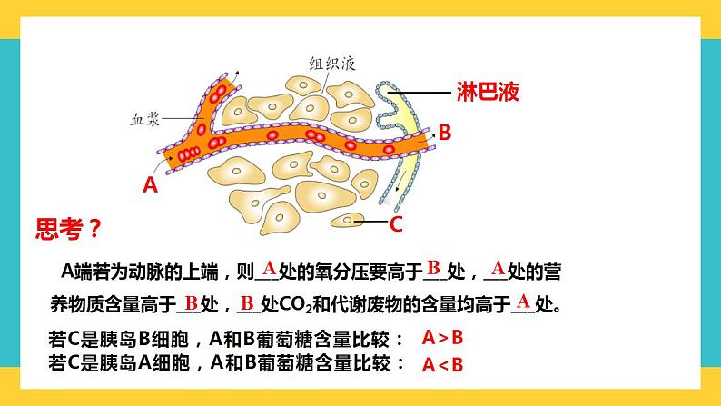 【高考一轮专题复习】高考生物专题复习——第35讲《人体的内环境与稳态》复习课件（全国通用）06