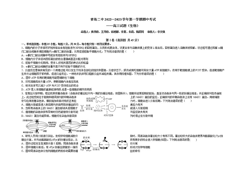 2023青岛二中高三上学期11月期中考试生物试题含答案01