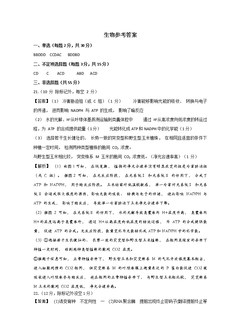 2023青岛二中高三上学期11月期中考试生物试题含答案01