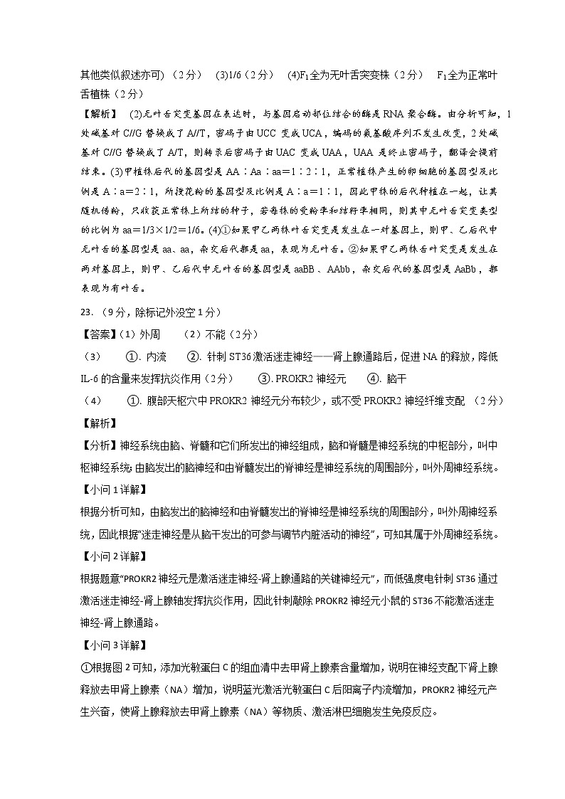 2023青岛二中高三上学期11月期中考试生物试题含答案02
