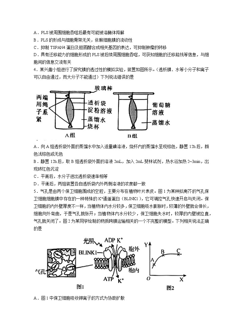 2023菏泽高三上学期期中联考生物试题（A）含答案02