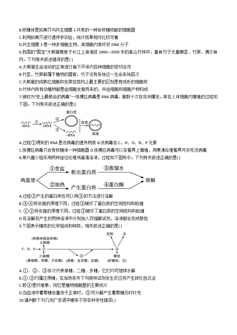 2023湖北省宜城一中、枣阳一中等六校联考高一上学期期中考试生物试题含答案第2页