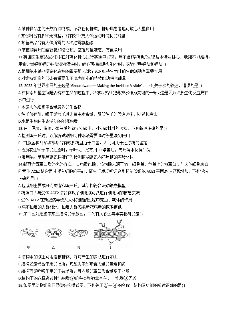 2023湖北省宜城一中、枣阳一中等六校联考高一上学期期中考试生物试题含答案第3页