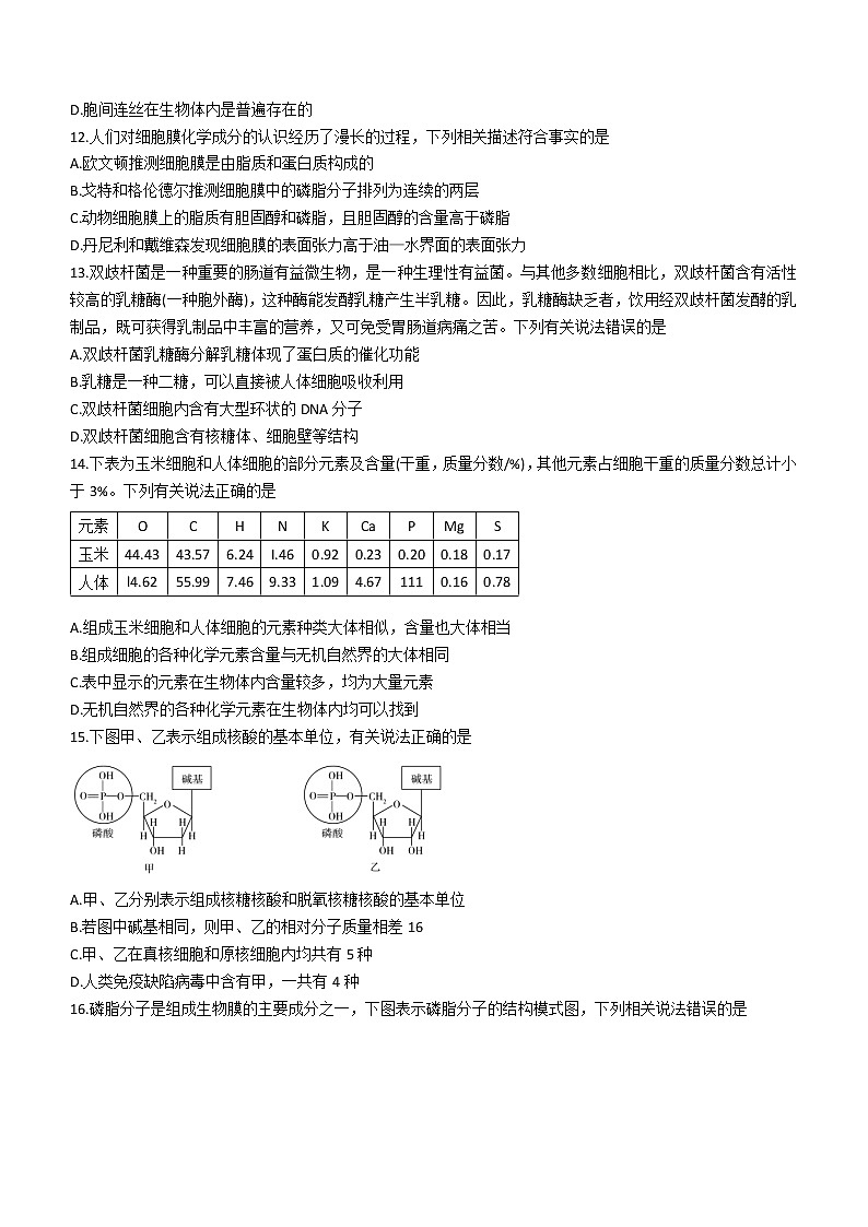 2023安徽省卓越县中联盟高一上学期期中生物试题含解析第3页