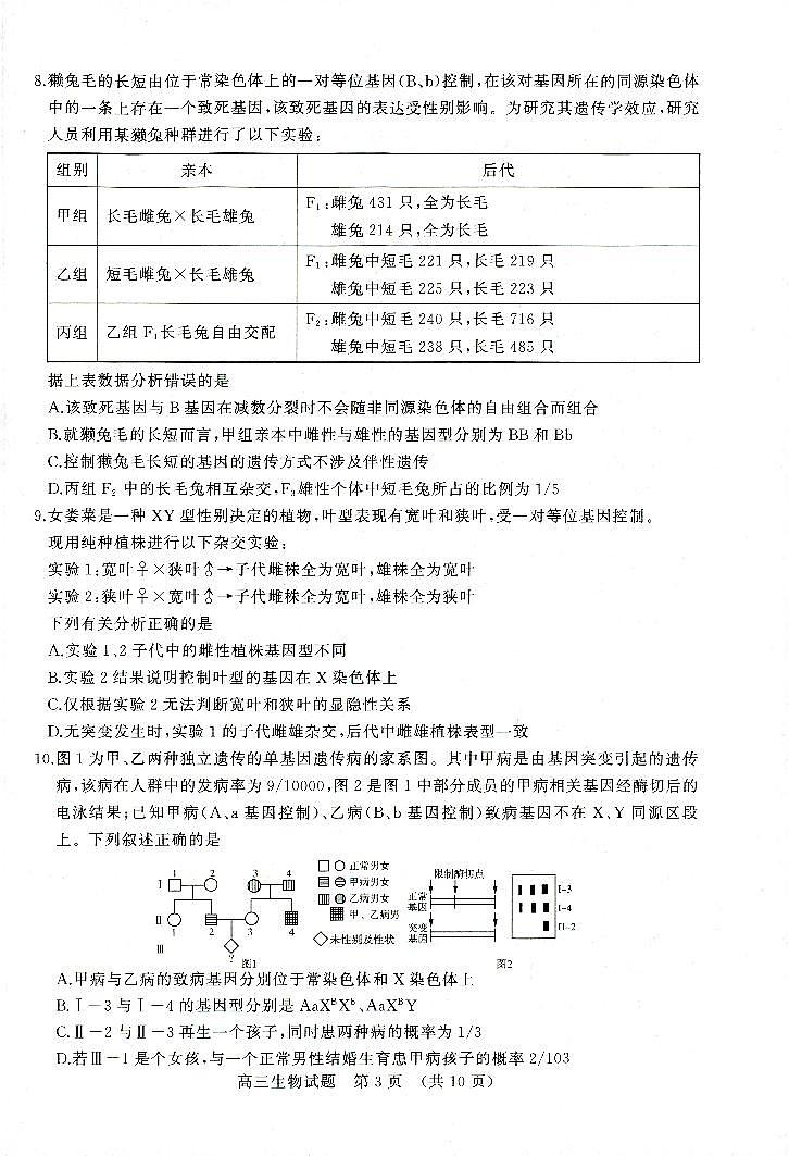 山东省济南市2022-2023学年高三上学期期中考试 生物试题及答案02
