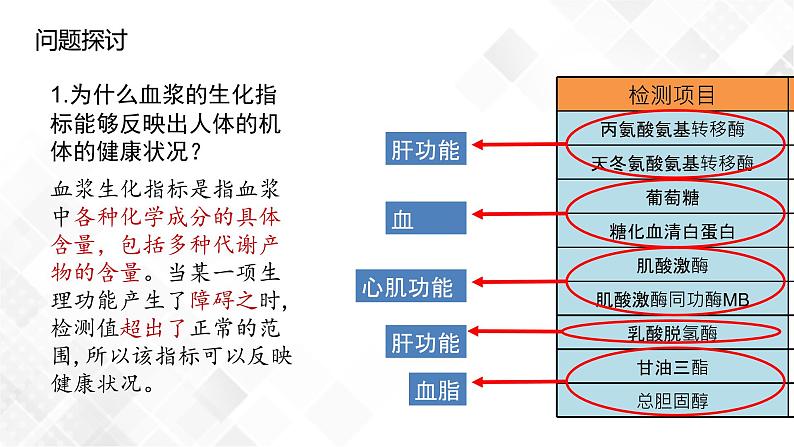 1.2 内环境的稳态-高中生物 课件+练习（人教版2019 选择性必修1）04