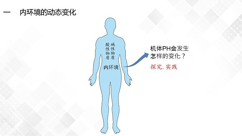 1.2 内环境的稳态-高中生物 课件+练习（人教版2019 选择性必修1）07