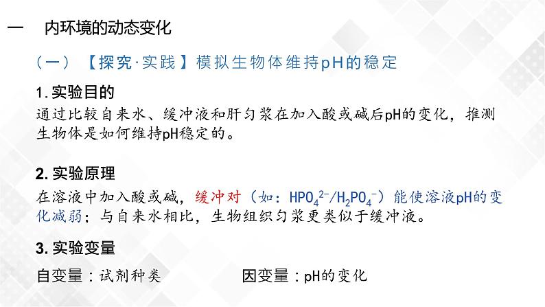 1.2 内环境的稳态-高中生物 课件+练习（人教版2019 选择性必修1）08