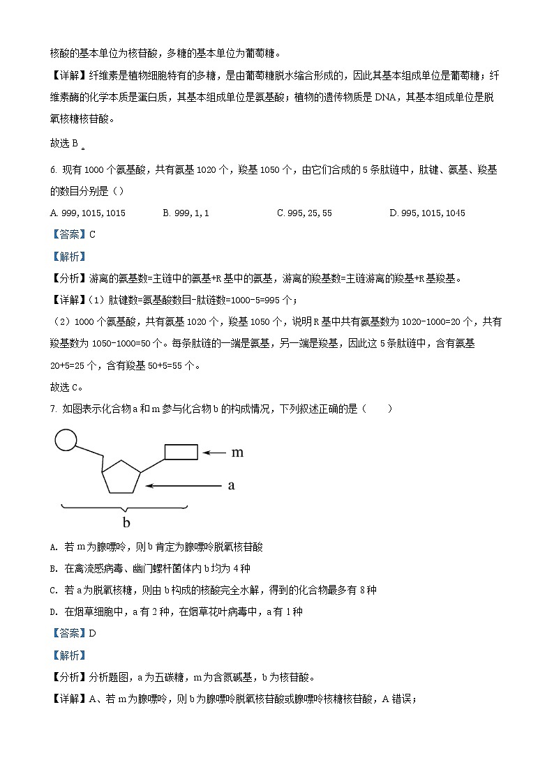 精品解析：黑龙江省佳木斯市三江管理局二中2021-2022学年高一上学期期中生物试题03