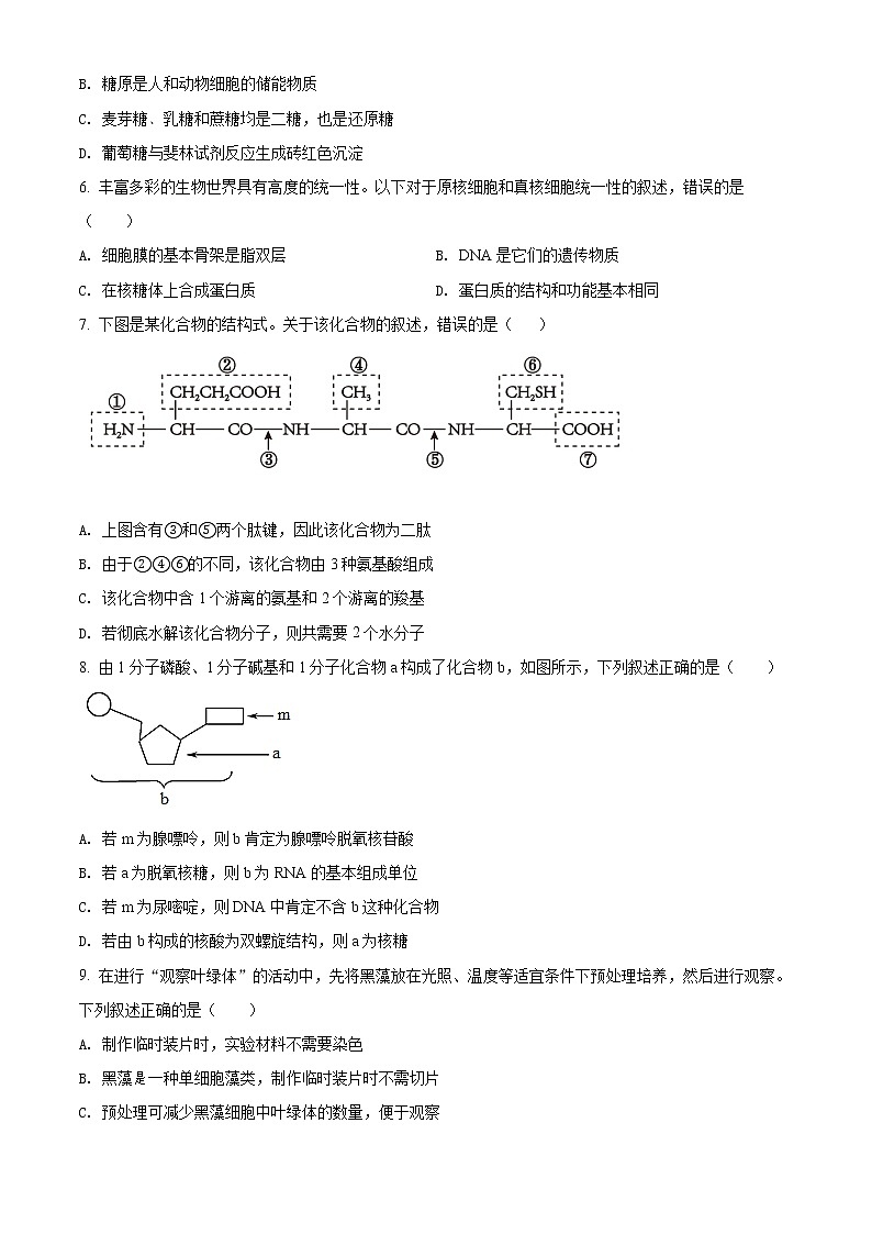 精品解析：江苏省徐州市七中2021-2022学年高一上学期期中生物试题（原卷版）第2页