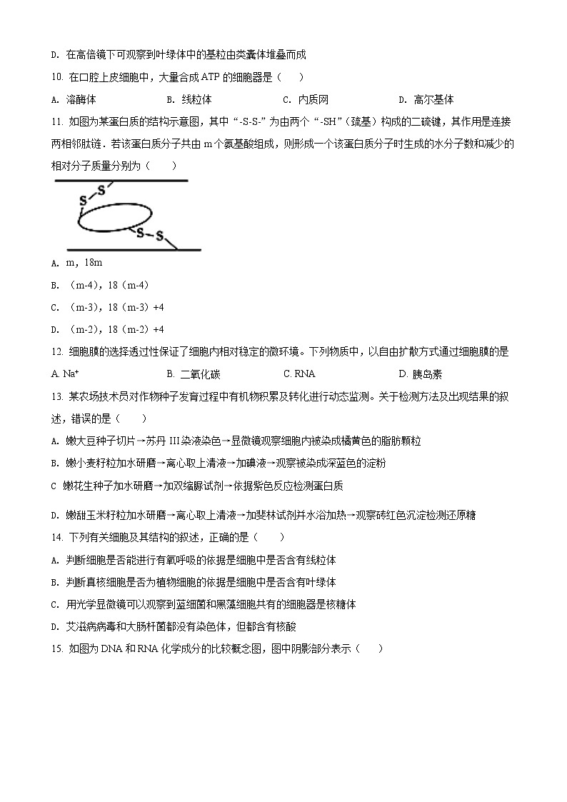 精品解析：江苏省徐州市七中2021-2022学年高一上学期期中生物试题（原卷版）第3页