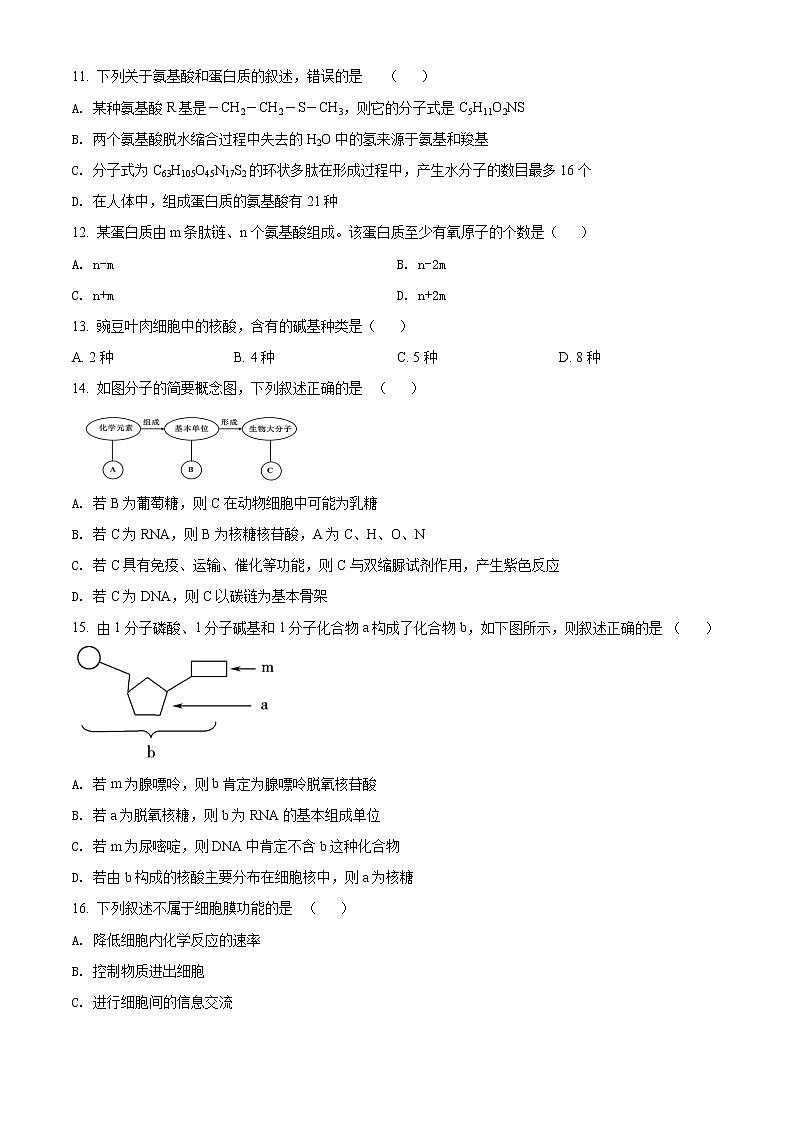 精品解析：新疆维吾尔自治区新源县2021-2022学年高一上学期期中生物试题03