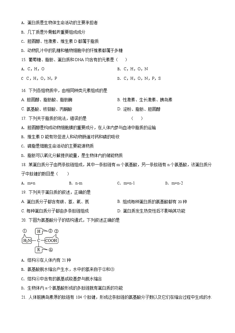 精品解析：新疆乌鲁木齐市三十一中2021-2022学年高一上学期期中生物试题（原卷版）第3页