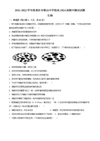 精品解析：重庆市璧山中学校2021-2022学年高一上学期期中生物试题