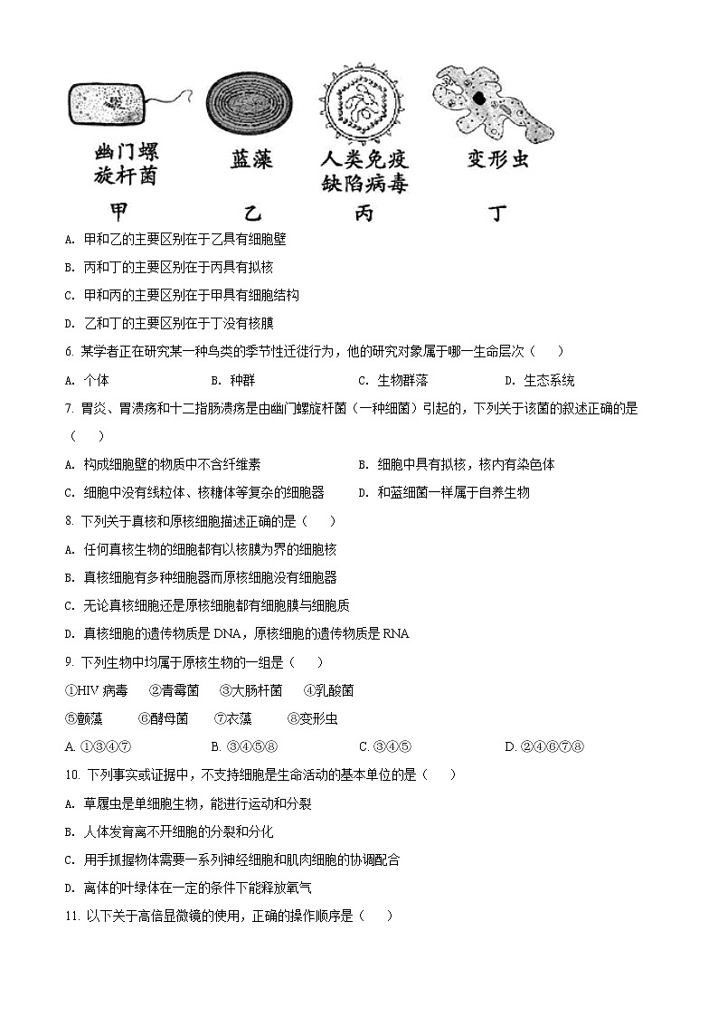 精品解析：重庆市璧山中学校2021-2022学年高一上学期期中生物试题02
