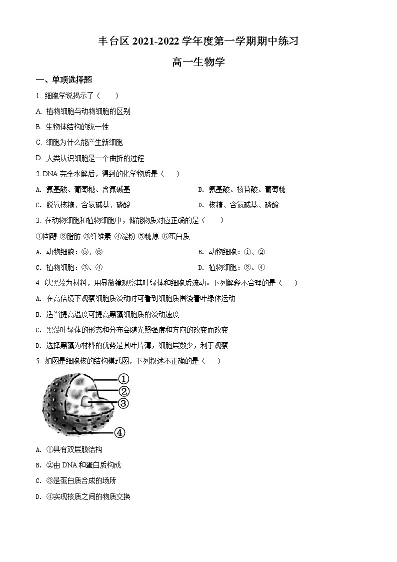 精品解析：北京市丰台区2021-2022学年高一上学期期中生物试题（A）01