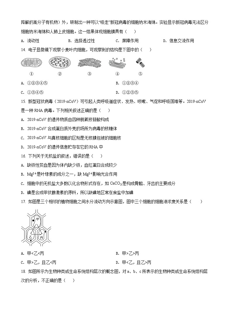 精品解析：北京市丰台区2021-2022学年高一上学期期中生物试题（A）03