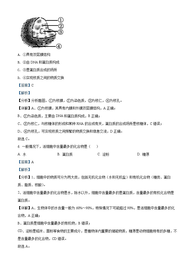 精品解析：北京市丰台区2021-2022学年高一上学期期中生物试题（A）03